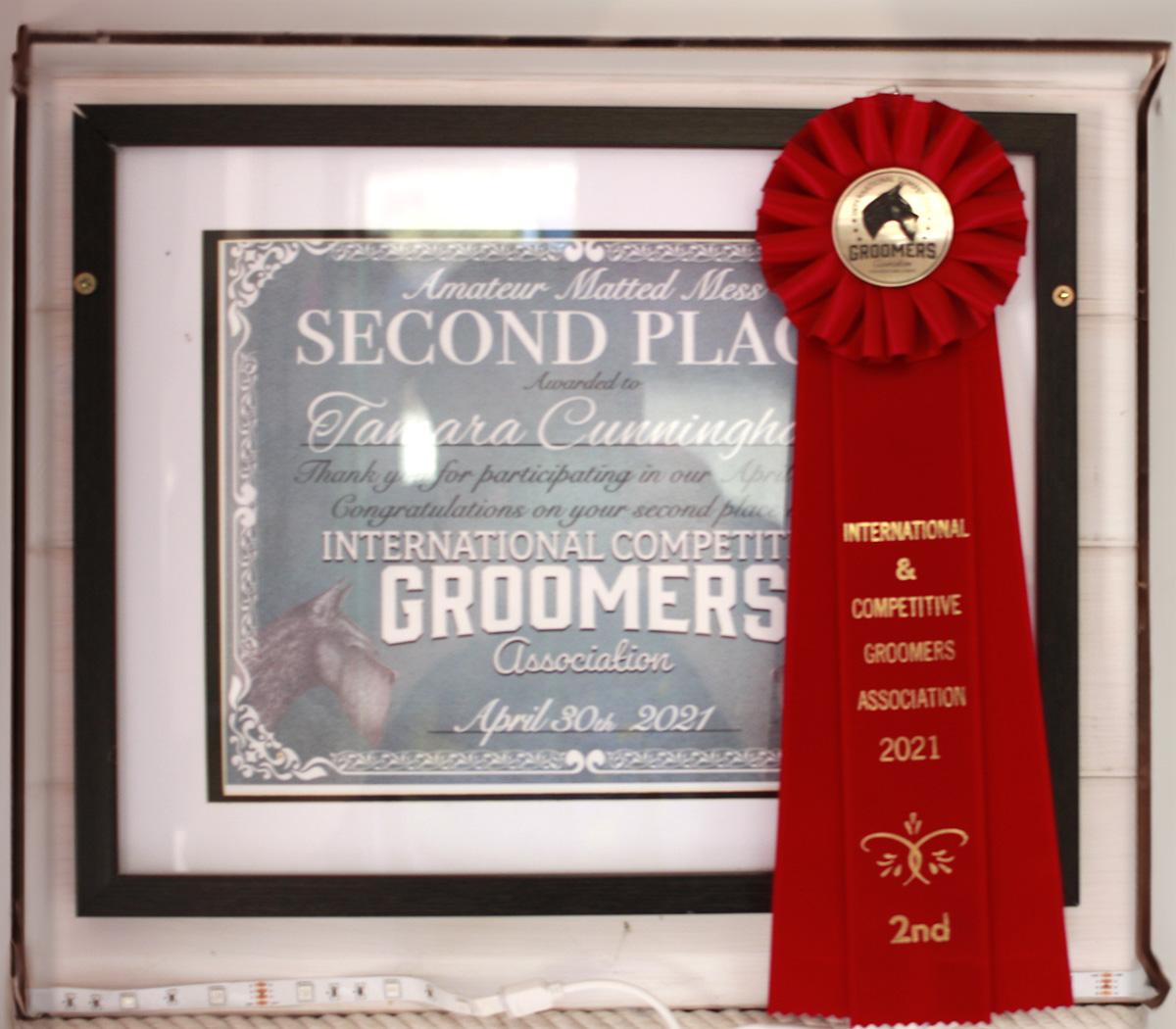 Expert dog groomer Award winning Kelowna